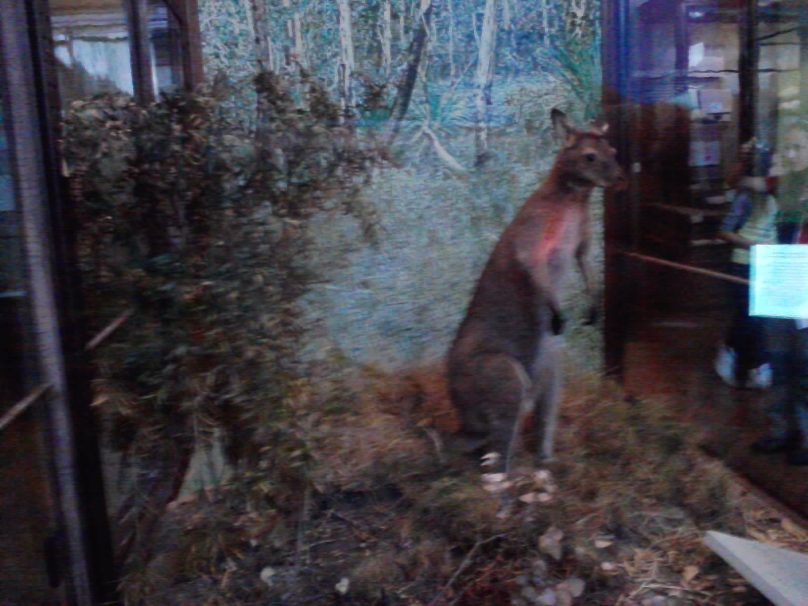 P300911_10.49_[01]