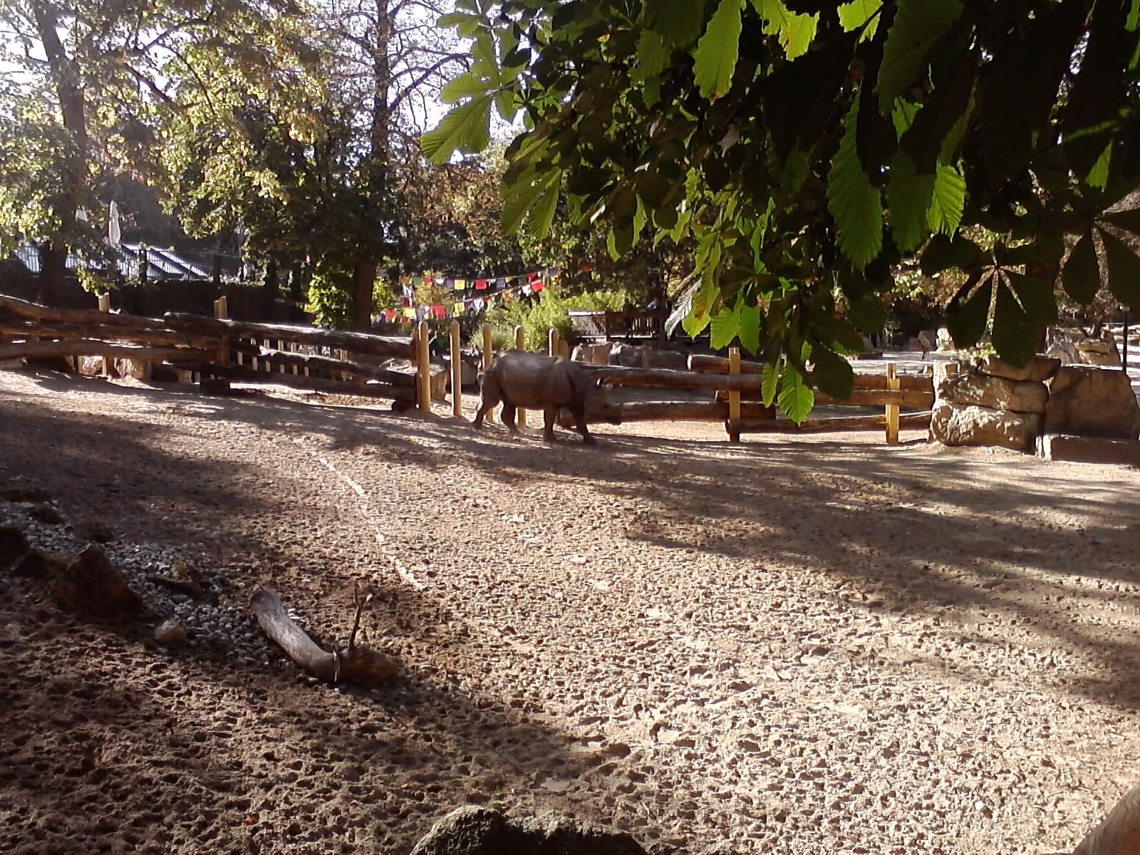 P300911_15.15_[01]