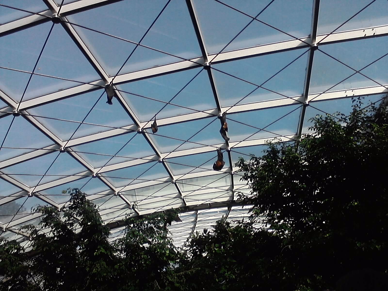 P300911_15.32