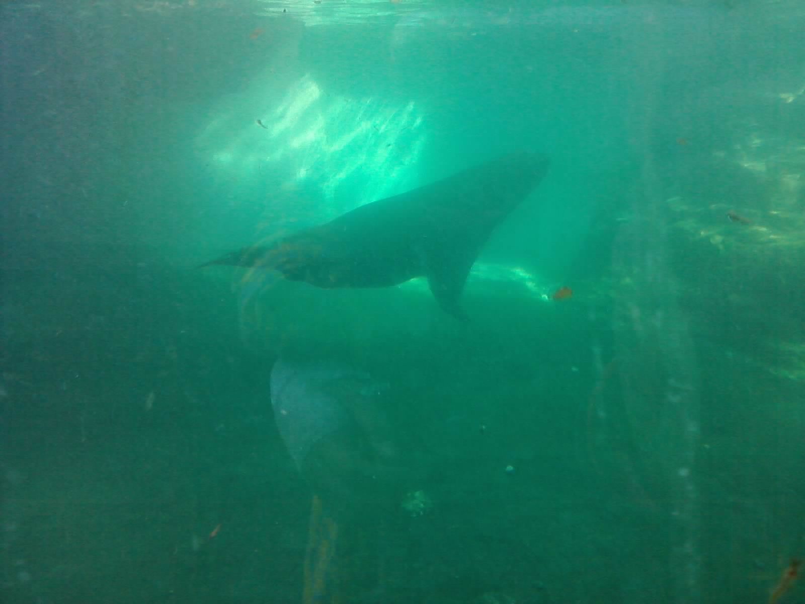 P300911_15.48