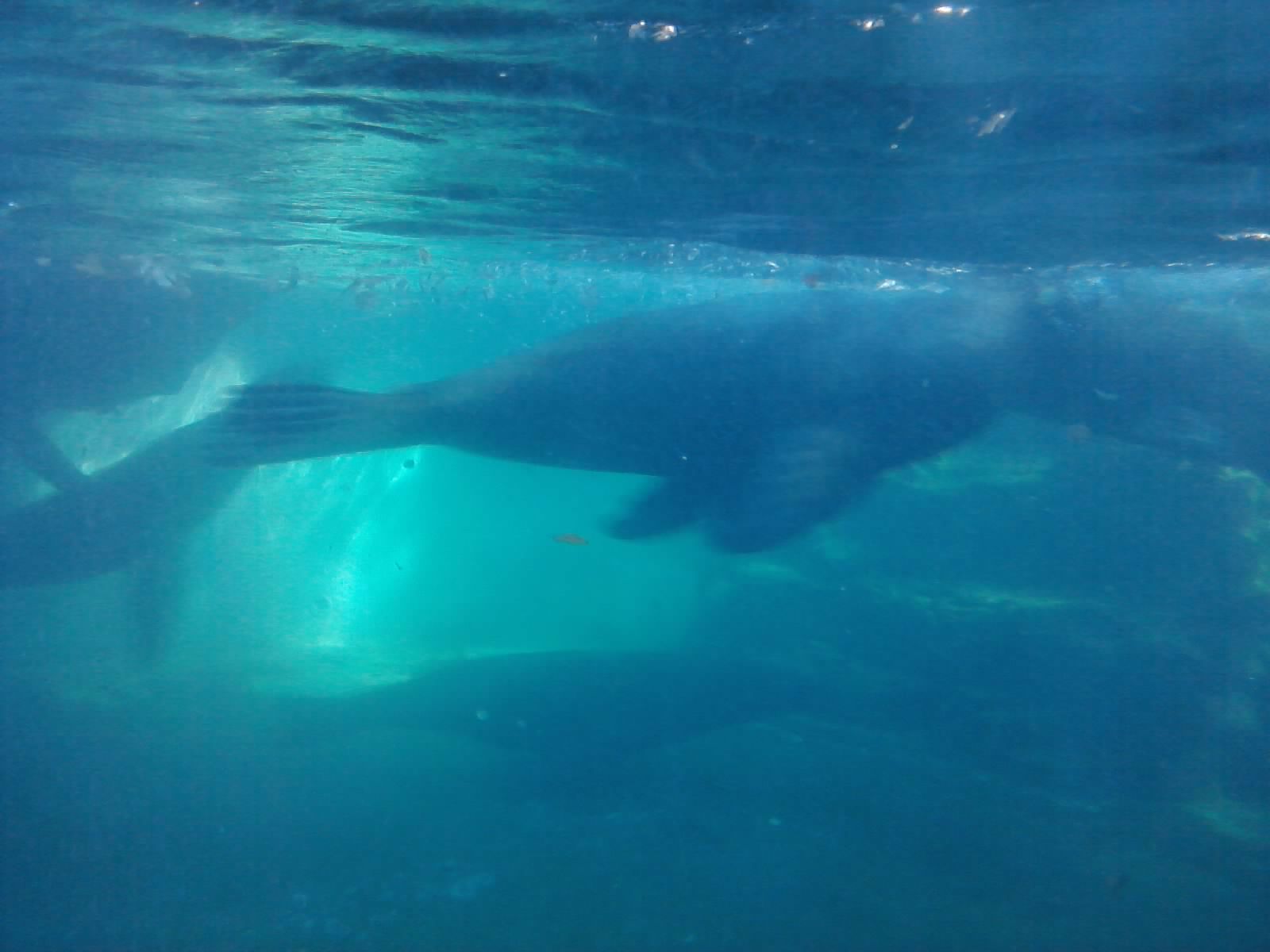 P300911_15.48_[01]