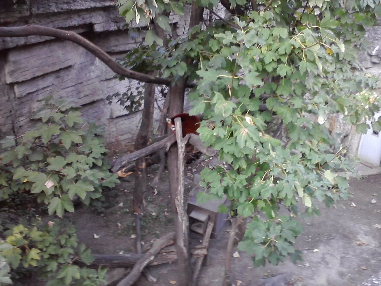 P300911_16.54